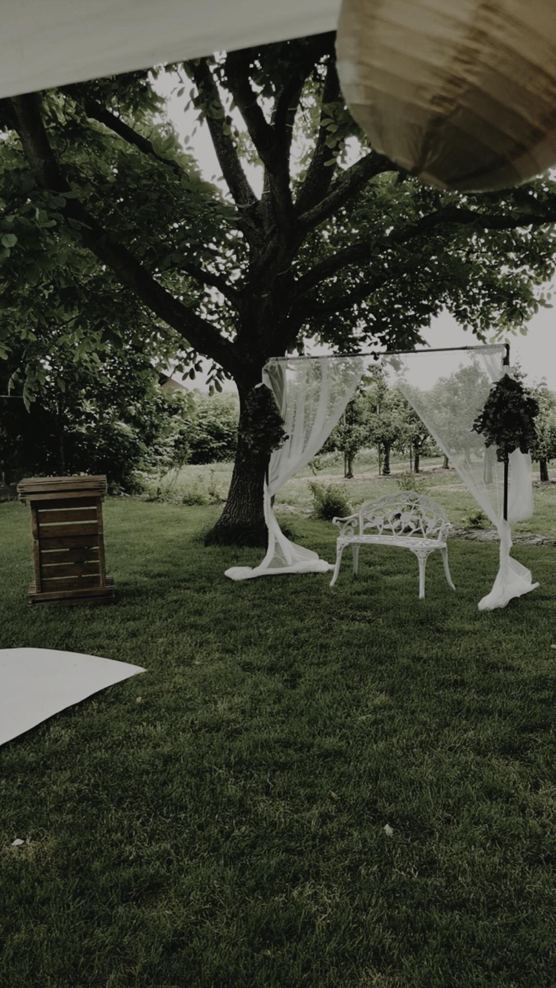 IMG_20210625_141930_301