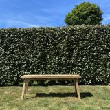 Houten loveseat - Afbeelding 3