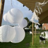 Lampionnenset (2 sets beschikbaar) - Afbeelding 5